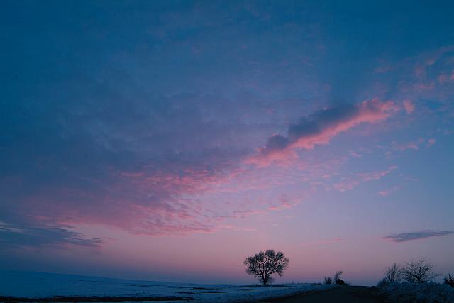 LoneTree Dusk